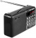 Радиоприемник Perfeo Palm black (i90-BL) PF_A4870 - фото в интернет-магазине Арктика