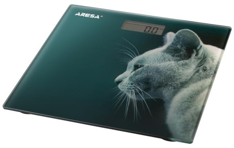 Весы напольные ARESA AR-4412 - фото в интернет-магазине Арктика