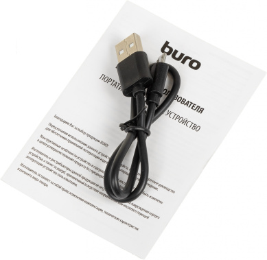 Портативный аккумулятор Buro (BP05B10PRD) 5000mAh (красный) - фото в интернет-магазине Арктика
