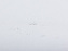 Наматрасник Джуниор 90*200, ЕАЭС N RU Д-RU.РА03.В.14663/22 - Орматек - фото в интернет-магазине Арктика