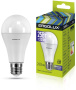 Лампа светодиодная Ergolux LED-A65-25w-E27-6K