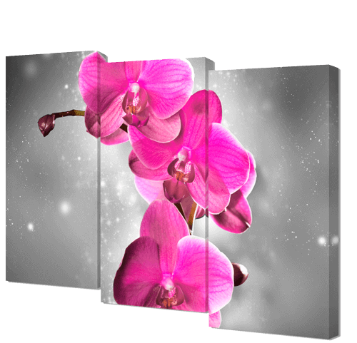 Картины и панно