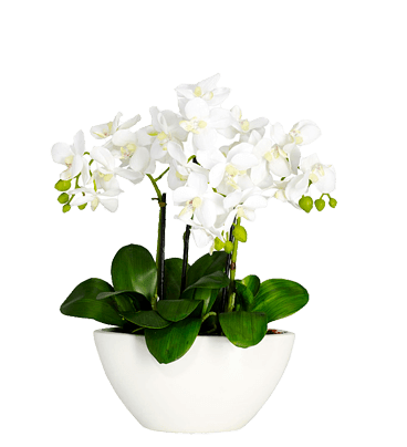 Искусственные цветы