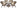 Комплект "PELANGI" 02/15 с матр (walnut/грецкий орех) - каталог товаров магазина Арктика