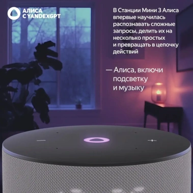 Умная колонка Яндекс Станция Мини 3 YNDX-00027GRY Серый - фото в интернет-магазине Арктика