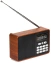 Радиоприемник Perfeo Alpinist Brown (PF_D0573) - фото в интернет-магазине Арктика