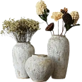/upload/resize_cache/iblock/124/156_116_1/63ev34louasbjovp8on2hwu35y06uwwf.webp