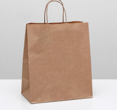 Пакет подарочный 2492931 - Сима-ленд - каталог товаров магазина Арктика