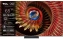 Телевизор TCL 65C8K UHD Smart TV - фото в интернет-магазине Арктика