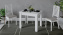 Стол обеденный "Промо" тип 3 (белый/белый) - Три Я - фото в интернет-магазине Арктика