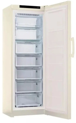 Морозильник Indesit DFZ 5175 E - фото в интернет-магазине Арктика