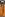 Пилки для лобзика ВИХРЬ Т308В по дереву,ламинату, чистый рез 116x90мм (2 шт.) - каталог товаров магазина Арктика