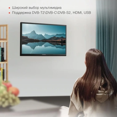 Телевизор Starwind SW-LED24SG304 Smart TV (Яндекс) - фото в интернет-магазине Арктика