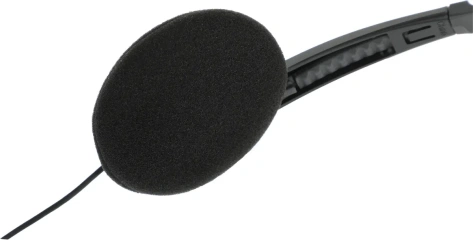 Наушники Panasonic RP-HT010 - фото в интернет-магазине Арктика