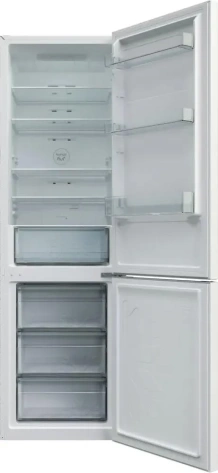 Холодильник Candy CCRN 6200W - фото в интернет-магазине Арктика