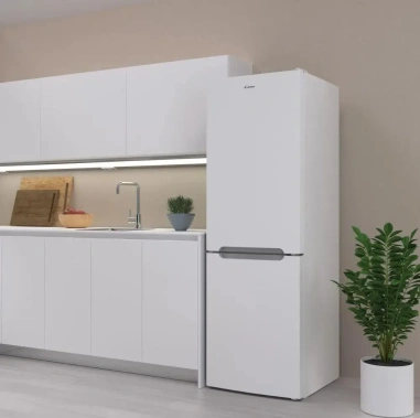 Холодильник Candy CCRN 6180W - фото в интернет-магазине Арктика