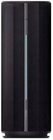 Портативная акустика Xiaomi Bluetooth Speaker Black (QBH4275GL) - фото в интернет-магазине Арктика