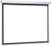 Экран Cactus Wallscreen CS-PSW-150X150 84" (216 cm) 1:1 - фото в интернет-магазине Арктика
