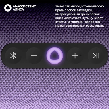 Умная колонка Яндекс Станция Стрит (YNDX-00030VIO) Фиолетовая - фото в интернет-магазине Арктика