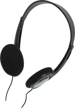 Наушники Panasonic RP-HT010 - фото в интернет-магазине Арктика