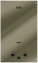Газовая колонка Ballu GWH 10 Fiery Glass Mirror - фото в интернет-магазине Арктика
