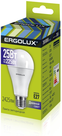 Лампа светодиодная Ergolux LED-A65-25w-E27-6K - фото в интернет-магазине Арктика
