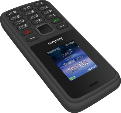Мобильный телефон Xenium X175 Black - фото в интернет-магазине Арктика