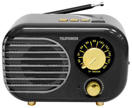 Радиоприемник Telefunken TF-1682UB Black Gold - фото в интернет-магазине Арктика