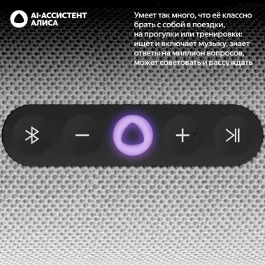 Умная колонка Яндекс Станция Стрит (YNDX-00030GRY) Серая - фото в интернет-магазине Арктика