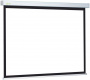 Экран Cactus Wallscreen CS-PSW-149x265 120" (305 cm)16:9