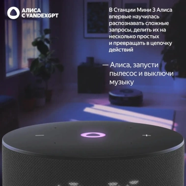 Умная колонка Яндекс Станция Мини 3 YNDX-00027BLK Черная - фото в интернет-магазине Арктика