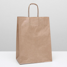 Пакет подарочный 2492932 - Сима-ленд - каталог товаров магазина Арктика