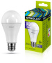 Лампа светодиодная Ergolux LED-A70-30w-E27-6K