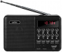 Радиоприемник Perfeo Palm black i90-BL A4870*