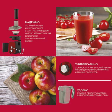 Соковыжималка Scarlett SC-JE50S21 - фото в интернет-магазине Арктика