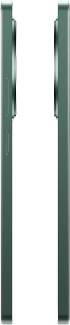 Мобильный телефон Realme 12  8+128Gb Зеленый (RMX3871) - фото в интернет-магазине Арктика