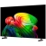 Телевизор LG OLED77B6RLA.ARUG UHD Smart TV - фото в интернет-магазине Арктика