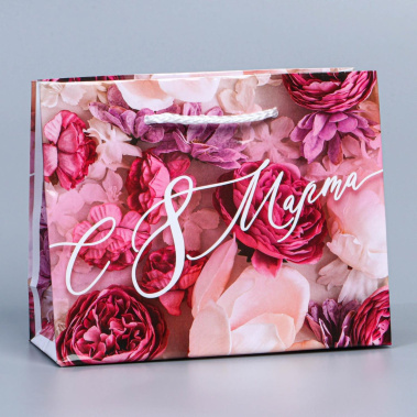 Пакет подарочный 7892390 - Сима-ленд - фото в интернет-магазине Арктика