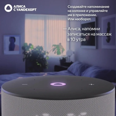Умная колонка Яндекс Станция Мини 3 YNDX-00027GRY Серый - фото в интернет-магазине Арктика
