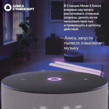 Умная колонка Яндекс Станция Мини 3 YNDX-00027GRY Серый - фото в интернет-магазине Арктика