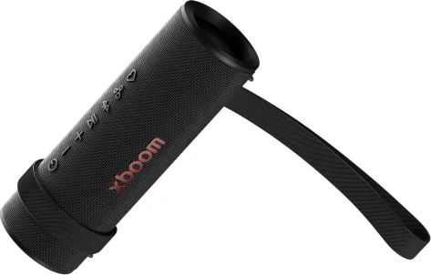 Портативная акустика LG Xboom Grab - фото в интернет-магазине Арктика