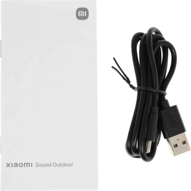 Портативная акустика Xiaomi Sound Outdoor 30W Black (QBH4261GL) - фото в интернет-магазине Арктика