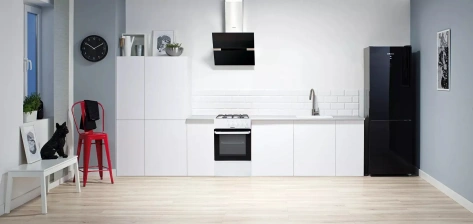 Плита газовая Hansa FCGW510029A - фото в интернет-магазине Арктика