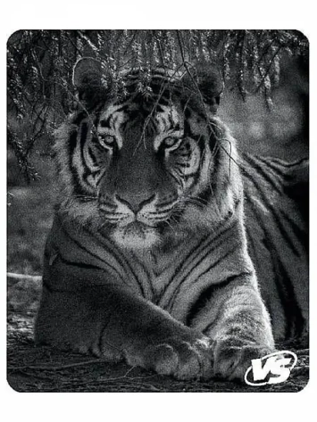 Коврик VS "Фауна" Тигр VS_B4637 - фото в интернет-магазине Арктика