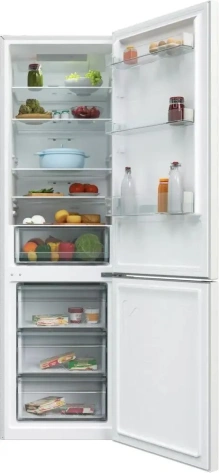 Холодильник Candy CCRN 6200W - фото в интернет-магазине Арктика