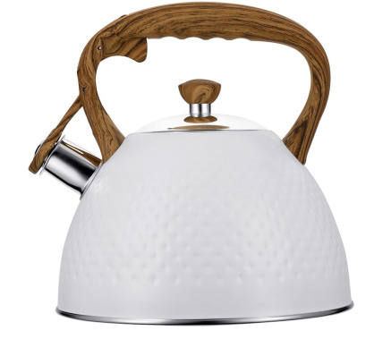 Чайник Linea TEA 93-TEA-46 2,8 л - Регент Рус - фото в интернет-магазине Арктика