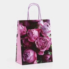 Пакет подарочный 9373274 - Сима-ленд - каталог товаров магазина Арктика