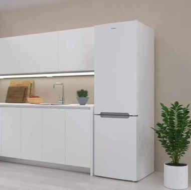 Холодильник Candy CCRN 6200W - фото в интернет-магазине Арктика