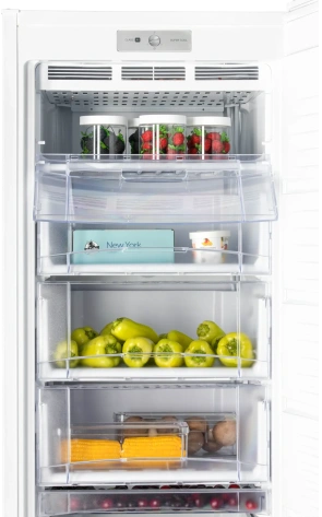 Морозильник NORD DF 268 WAP - фото в интернет-магазине Арктика