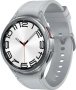 Смарт-часы Samsung Galaxy Watch6 Classic LTE 47mm Silver (SM-R965FZSACAU)
